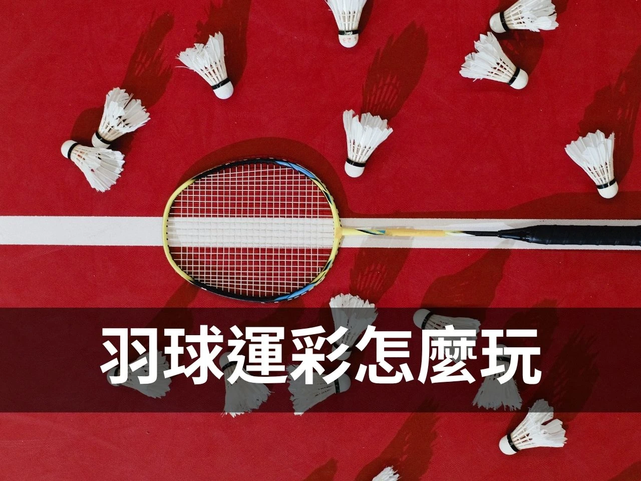 羽球運彩 羽球運彩投注 羽球運彩分析 羽球運彩投注技巧 羽球賠率