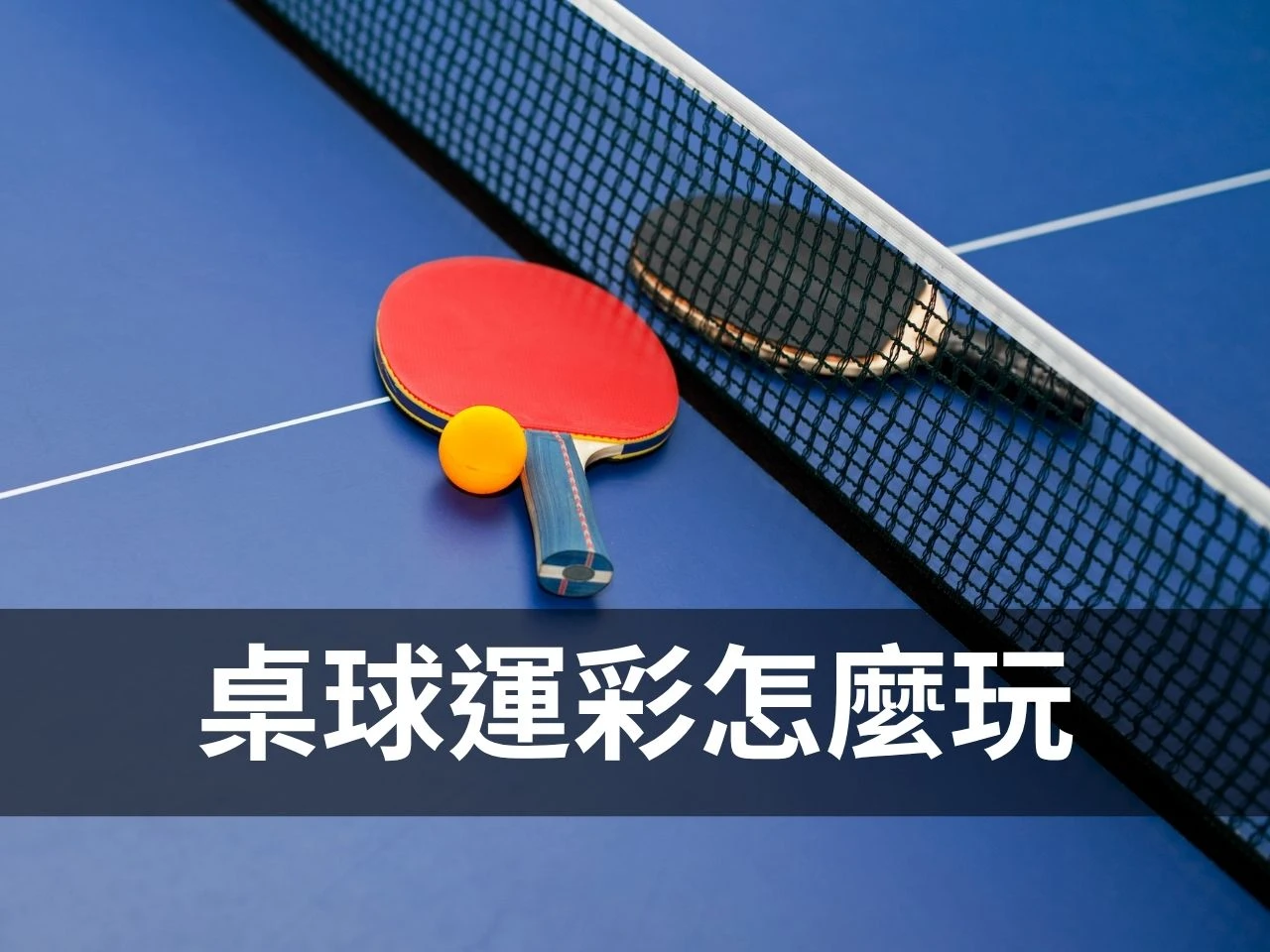 桌球運彩 乒乓球運彩 桌球運彩投注 乒乓球運彩分析 桌球運彩投注技巧
